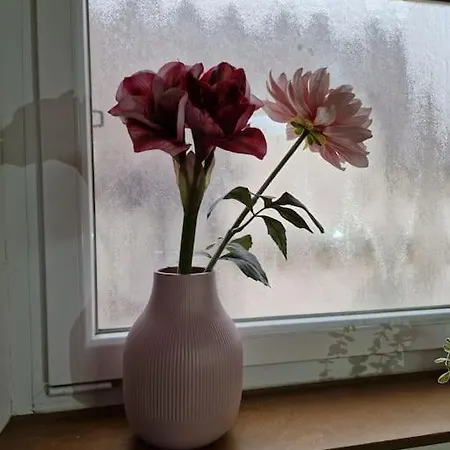 Schoene Grosse 2 Schlafzimmer Max 5 Personen Lägenhet