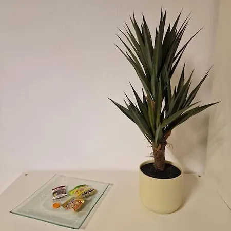 Lägenhet Schoene Grosse 2 Schlafzimmer Max 5 Personen