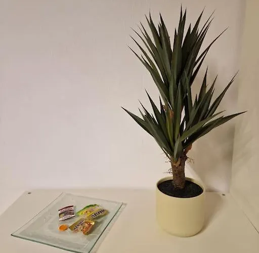 Apartmán Schoene Grosse 2 Schlafzimmer Max 5 Personen